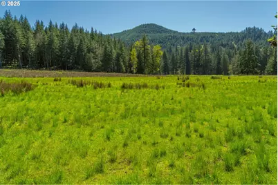 75325 Mosby Creek Rd, Cottage Grove, OR 97424 - Photo 37