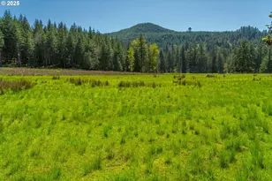 75325 Mosby Creek Rd, Cottage Grove, OR 97424 - Photo 37