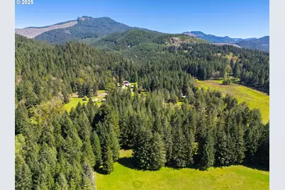 75325 Mosby Creek Rd, Cottage Grove, OR 97424 - Photo 3