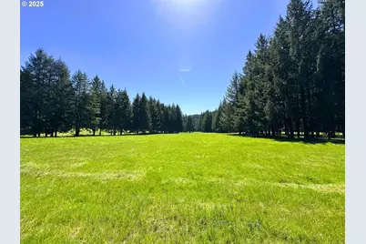 75325 Mosby Creek Rd, Cottage Grove, OR 97424 - Photo 5