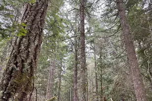 75325 Mosby Creek Rd, Cottage Grove, OR 97424 - Photo 45