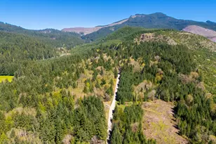 75325 Mosby Creek Rd, Cottage Grove, OR 97424 - Photo 41