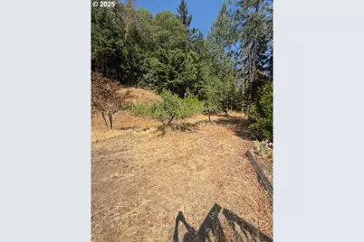 1604 Spring Brook Rd, Myrtle Creek, OR 97457 - Photo 29