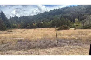 1604 Spring Brook Rd, Myrtle Creek, OR 97457 - Photo 39