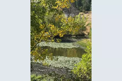 1604 Spring Brook Rd, Myrtle Creek, OR 97457 - Photo 39