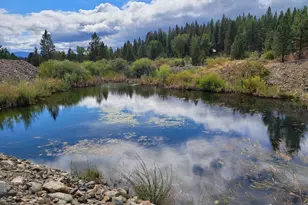 1 Iron Horse Loop, Sumpter, OR 97877 - Photo 21
