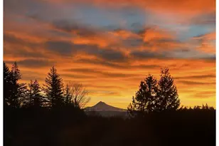 1618 SW 58th Ave, Portland, OR 97221 - Photo 17