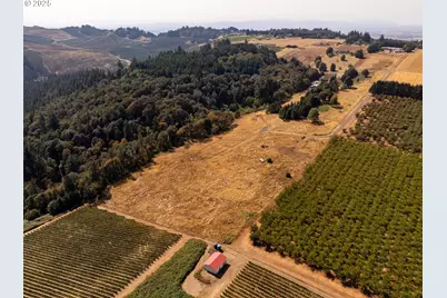 20 Franquette, Amity, OR 97101 - Photo 11