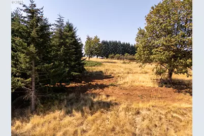 20 Franquette, Amity, OR 97101 - Photo 21