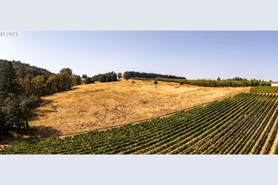 20 Franquette, Amity, OR 97101 - Photo 29