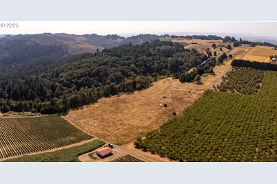 20 Franquette, Amity, OR 97101 - Photo 31