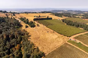 20 Franquette, Amity, OR 97101 - Photo 1