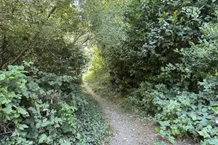 98493 N Bank Chetco River Rd, Brookings, OR 97415 - Photo 41