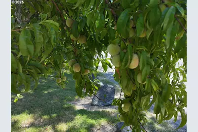 98493 N Bank Chetco River Rd, Brookings, OR 97415 - Photo 33