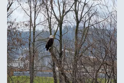 2072 S River Rd, Kelso, WA 98626 - Photo 21