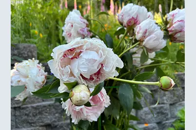 251 Mystery Dr, Amboy, WA 98601 - Photo 29