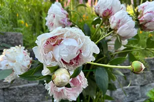 251 Mystery Dr, Amboy, WA 98601 - Photo 29