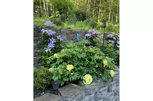 251 Mystery Dr, Amboy, WA 98601 - Photo 27