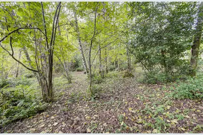 251 Mystery Dr, Amboy, WA 98601 - Photo 37