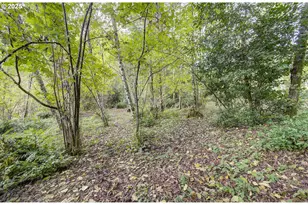 251 Mystery Dr, Amboy, WA 98601 - Photo 37