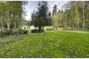 251 Mystery Dr, Amboy, WA 98601 - Photo 3