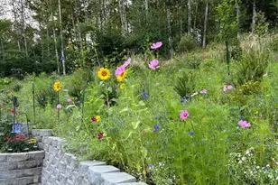 251 Mystery Dr, Amboy, WA 98601 - Photo 43