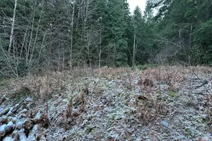 71360 E Jennie Ln, Rhododendron, OR 97049 - Photo 3