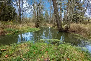 23990 SW Tile Flat Rd, Hillsboro, OR 97123 - Photo 45