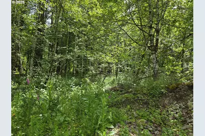 161 Cannavina Pvt Rd #4, Carson, WA 98610 - Photo 7