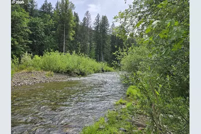 161 Cannavina Pvt Rd #4, Carson, WA 98610 - Photo 19