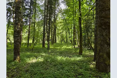 161 Cannavina Pvt Rd #4, Carson, WA 98610 - Photo 11