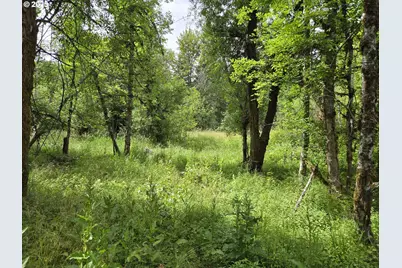 161 Cannavina Pvt Rd #4, Carson, WA 98610 - Photo 3