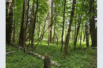 161 Cannavina Pvt Rd #4, Carson, WA 98610 - Photo 13