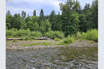 161 Cannavina Pvt Rd #4, Carson, WA 98610 - Photo 21