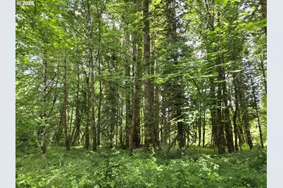 161 Cannavina Pvt Rd #4, Carson, WA 98610 - Photo 9