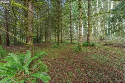 21912 NE 68th St, Vancouver, WA 98682 - Photo 39