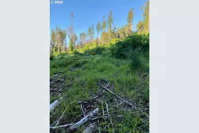 S Hult Rd, Beavercreek, OR 97004 - Photo 25