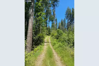 S Hult Rd, Beavercreek, OR 97004 - Photo 21