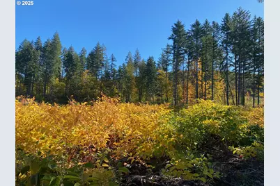 S Hult Rd, Beavercreek, OR 97004 - Photo 1