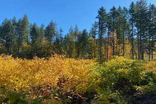 S Hult Rd, Beavercreek, OR 97004 - Photo 1