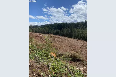 S Hult Rd, Beavercreek, OR 97004 - Photo 11