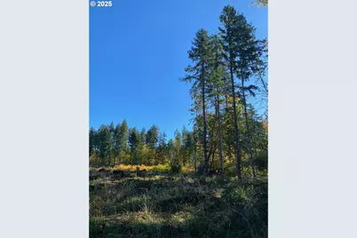 S Hult Rd, Beavercreek, OR 97004 - Photo 31