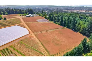 31909 SE Hwy 211, Eagle Creek, OR 97022 - Photo 11