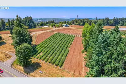 31909 SE Highway 211, Eagle Creek, OR 97022 - Photo 3