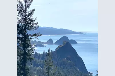 38097 Pacific Highlands Dr, Port Orford, OR 97465 - Photo 1