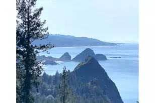 38097 Pacific Highlands Dr, Port Orford, OR 97465 - Photo 1