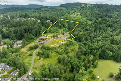 163 Cedar Falls Dr, Kelso, WA 98626 - Photo 3