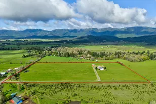 344 Marion Meadow Ln, Camas Valley, OR 97416 - Photo 47