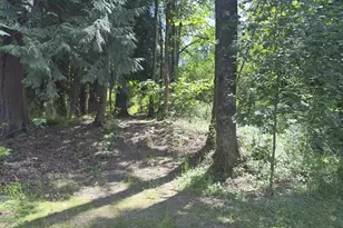 31616 SE Pipeline Rd, Gresham, OR 97080 - Photo 47