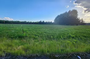 29290 S Old Molalla Rd, Molalla, OR 97038 - Photo 11